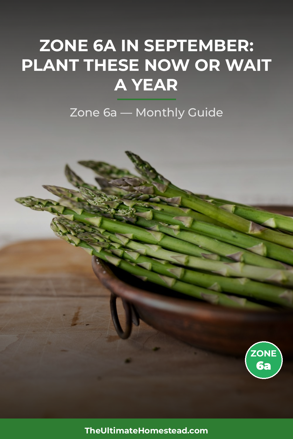 Zone 6a Planting Calendar