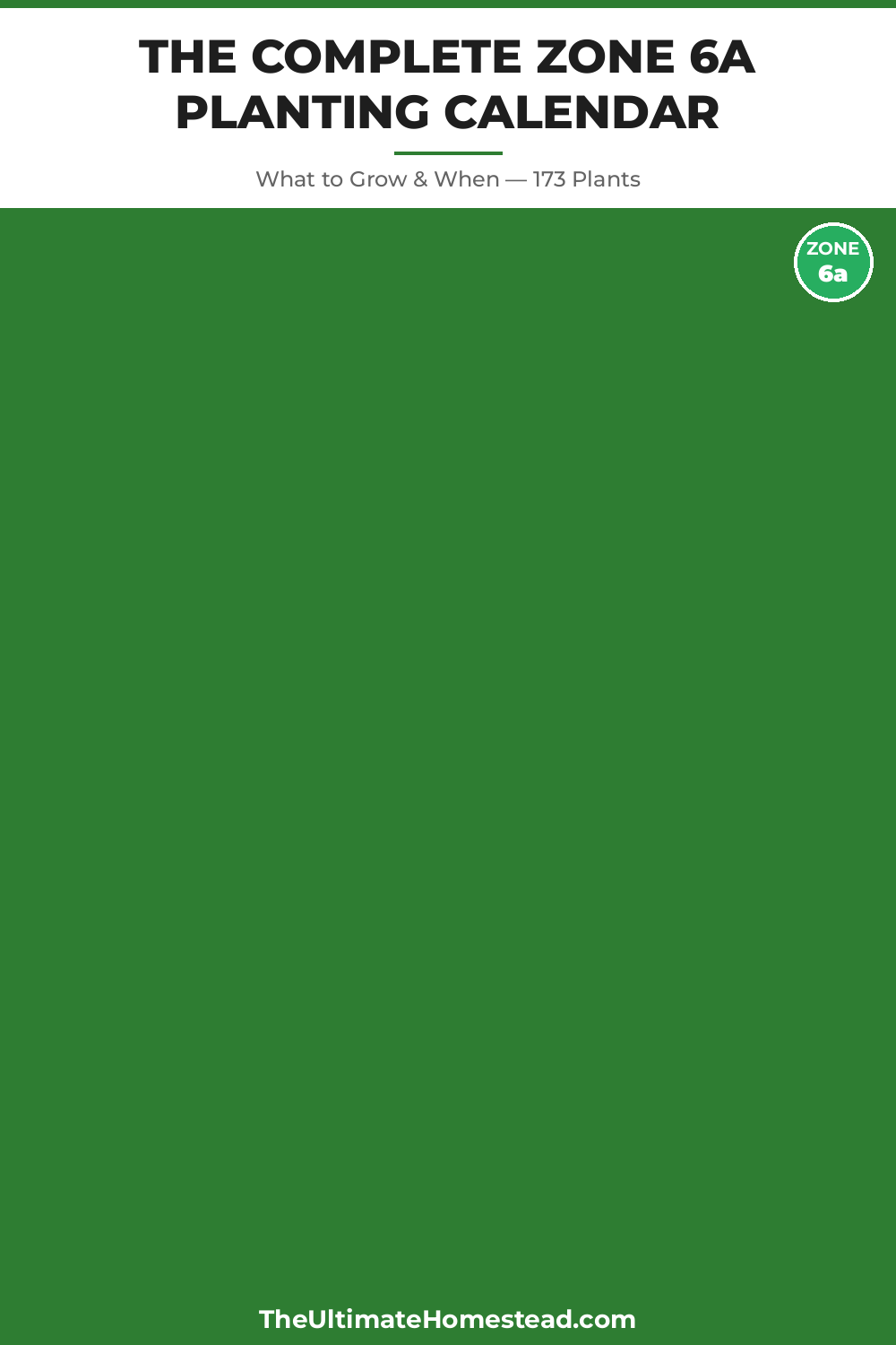 Zone 6a Planting Calendar