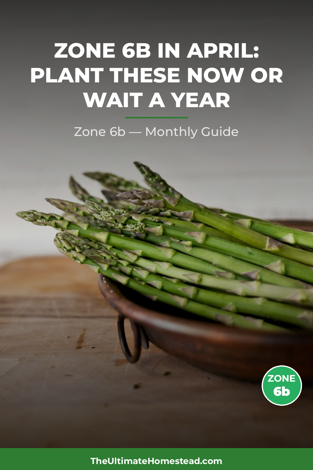 Zone 6b Planting Calendar