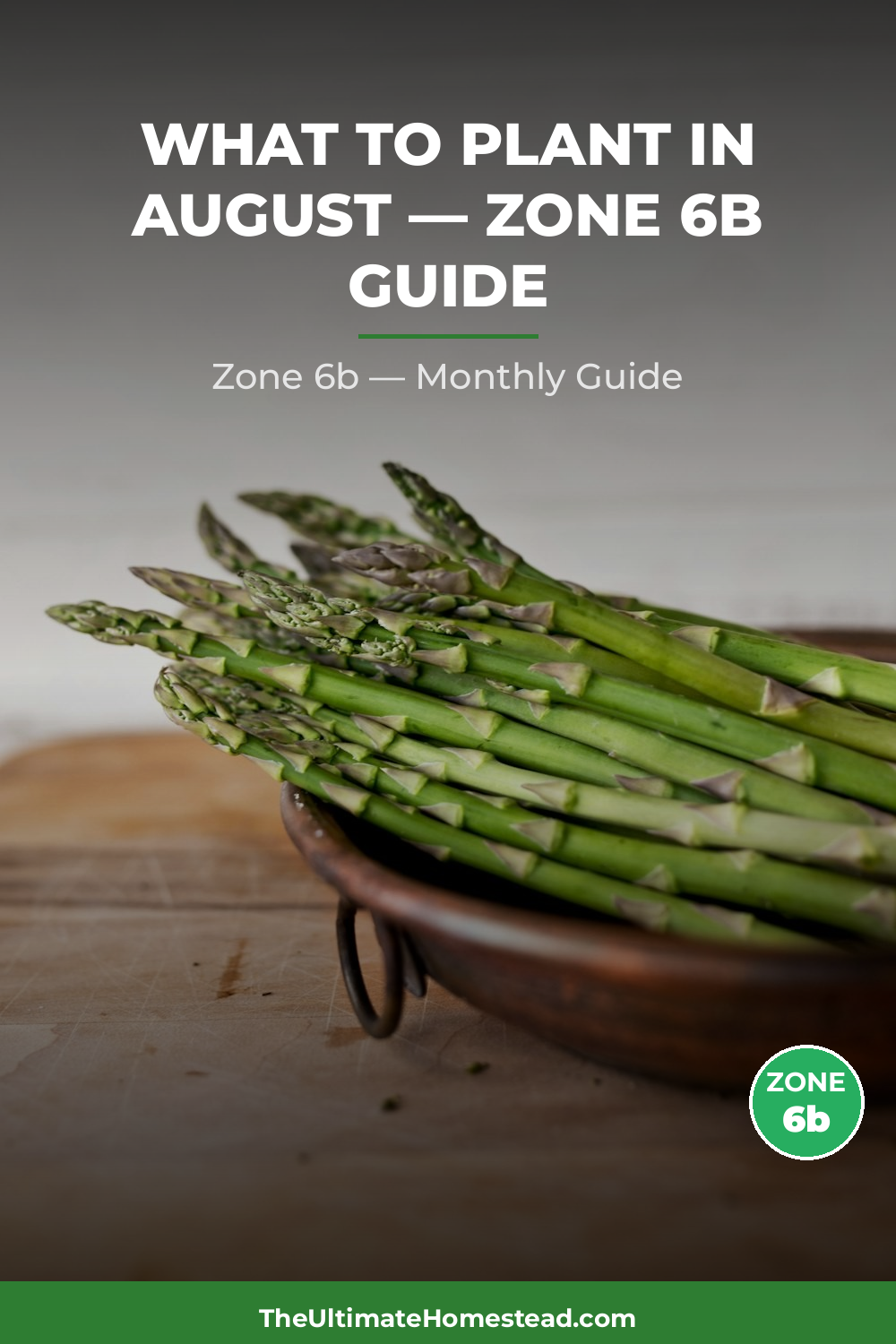 Zone 6b Planting Calendar