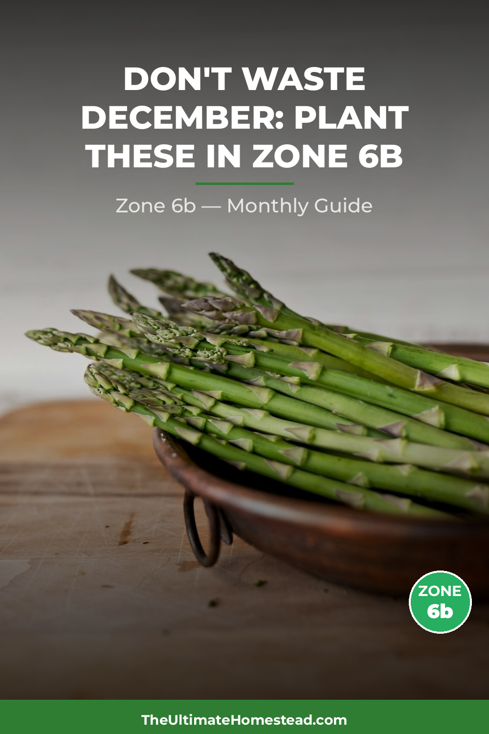 Zone 6b Planting Calendar