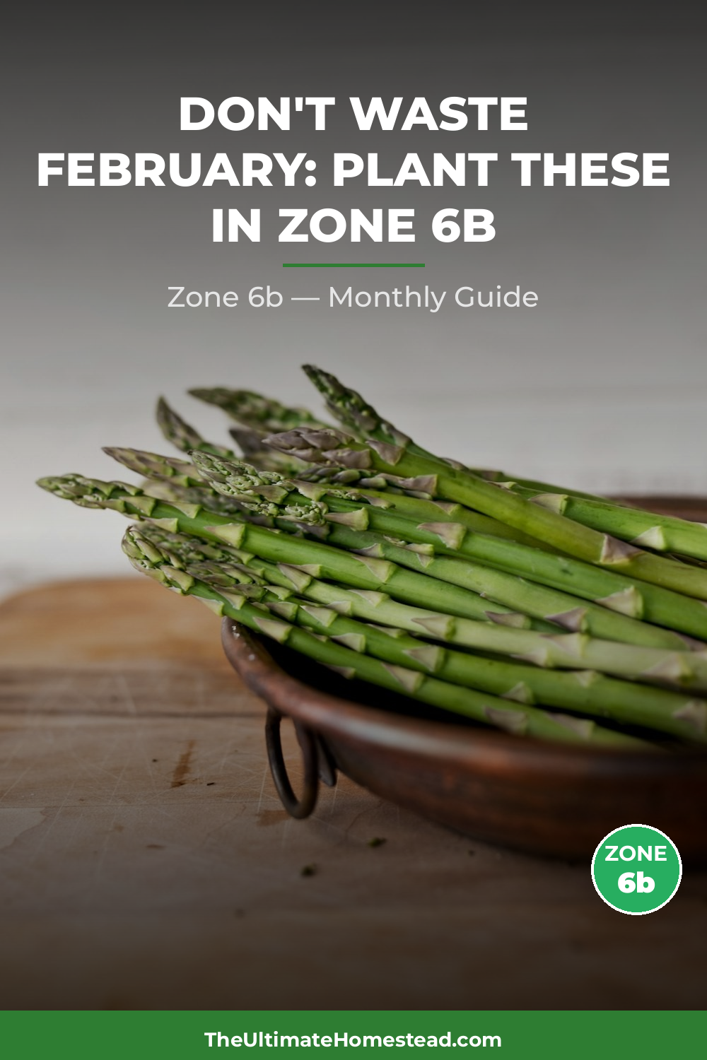 Zone 6b Planting Calendar