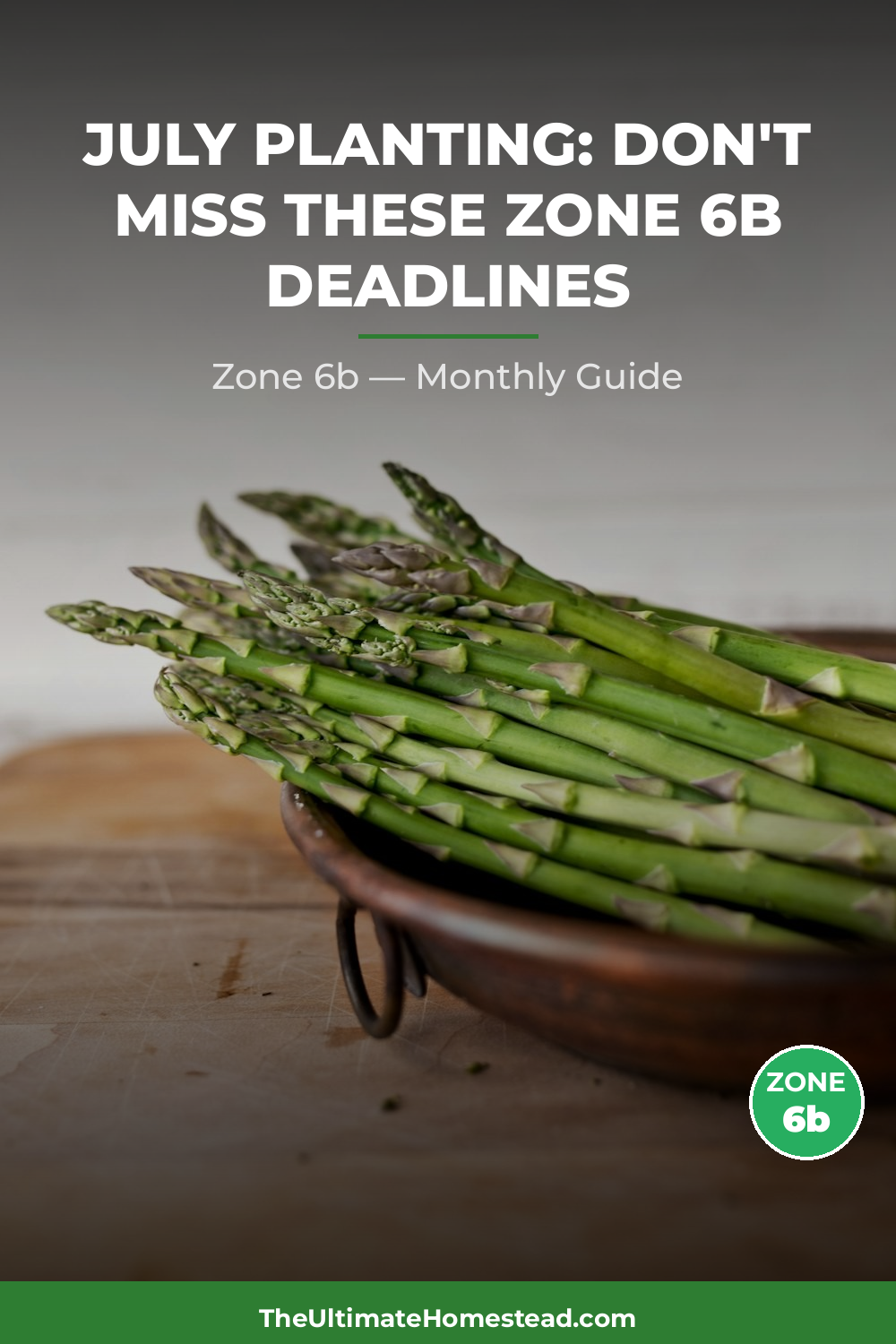 Zone 6b Planting Calendar