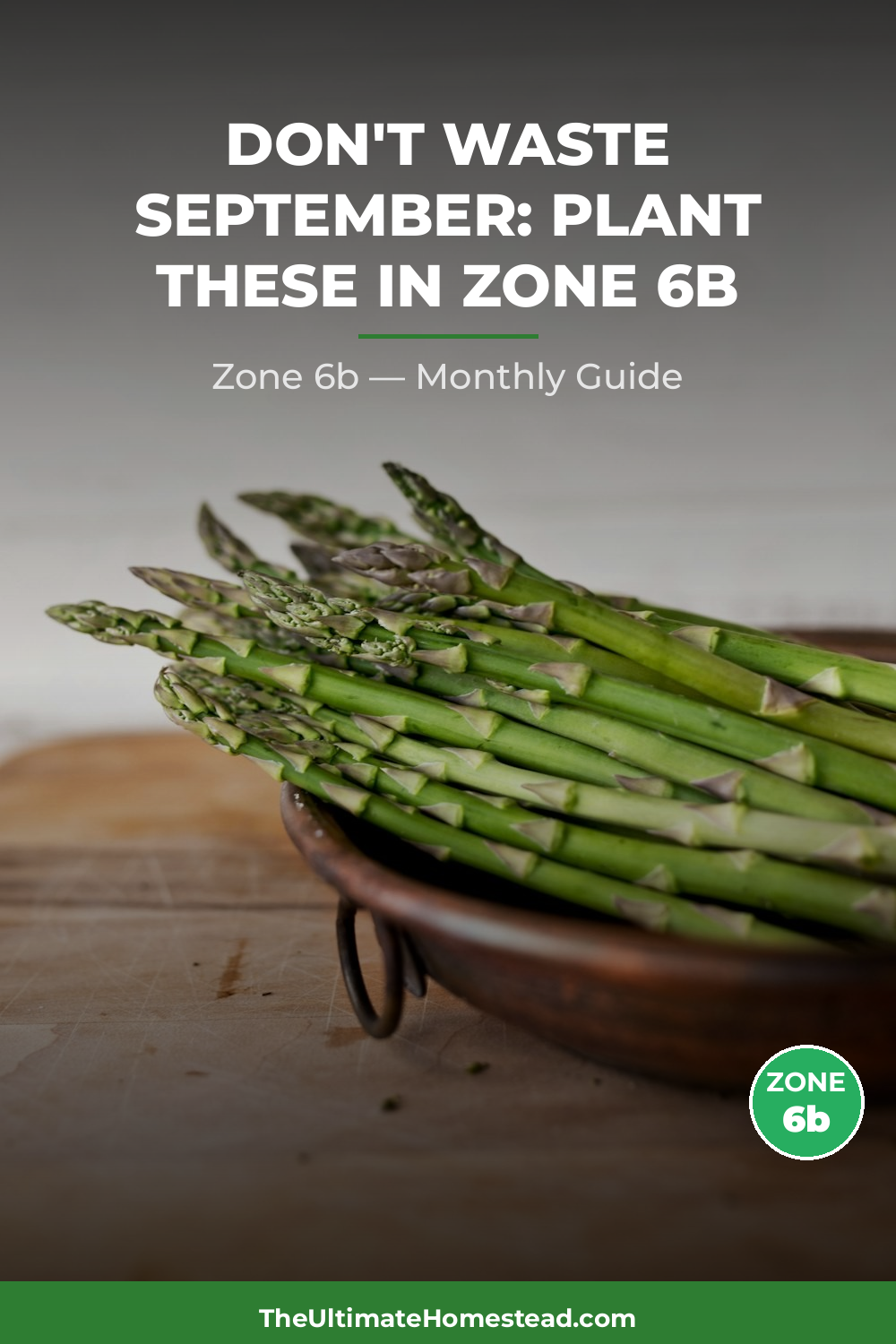 Zone 6b Planting Calendar
