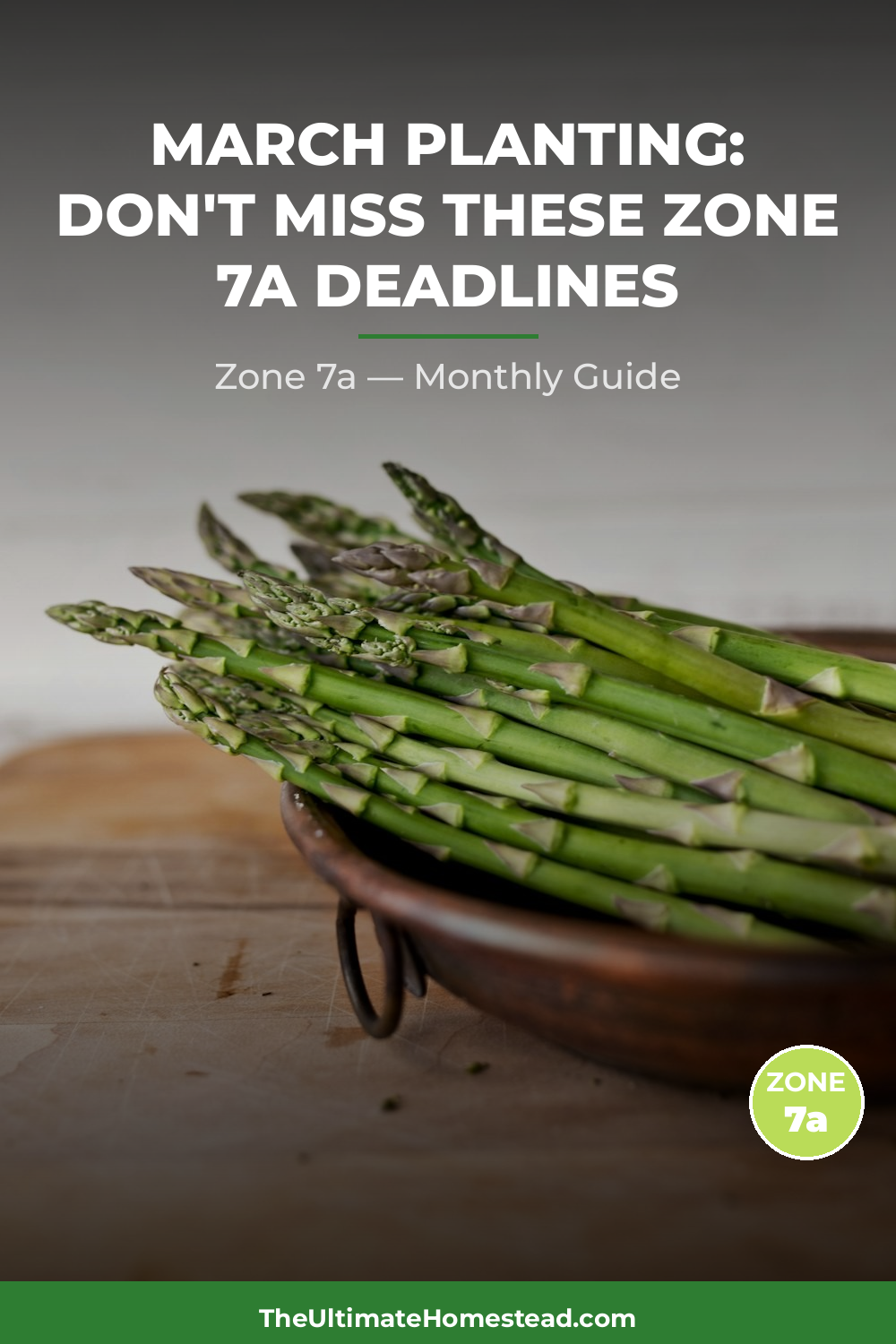 Zone 7a Planting Calendar