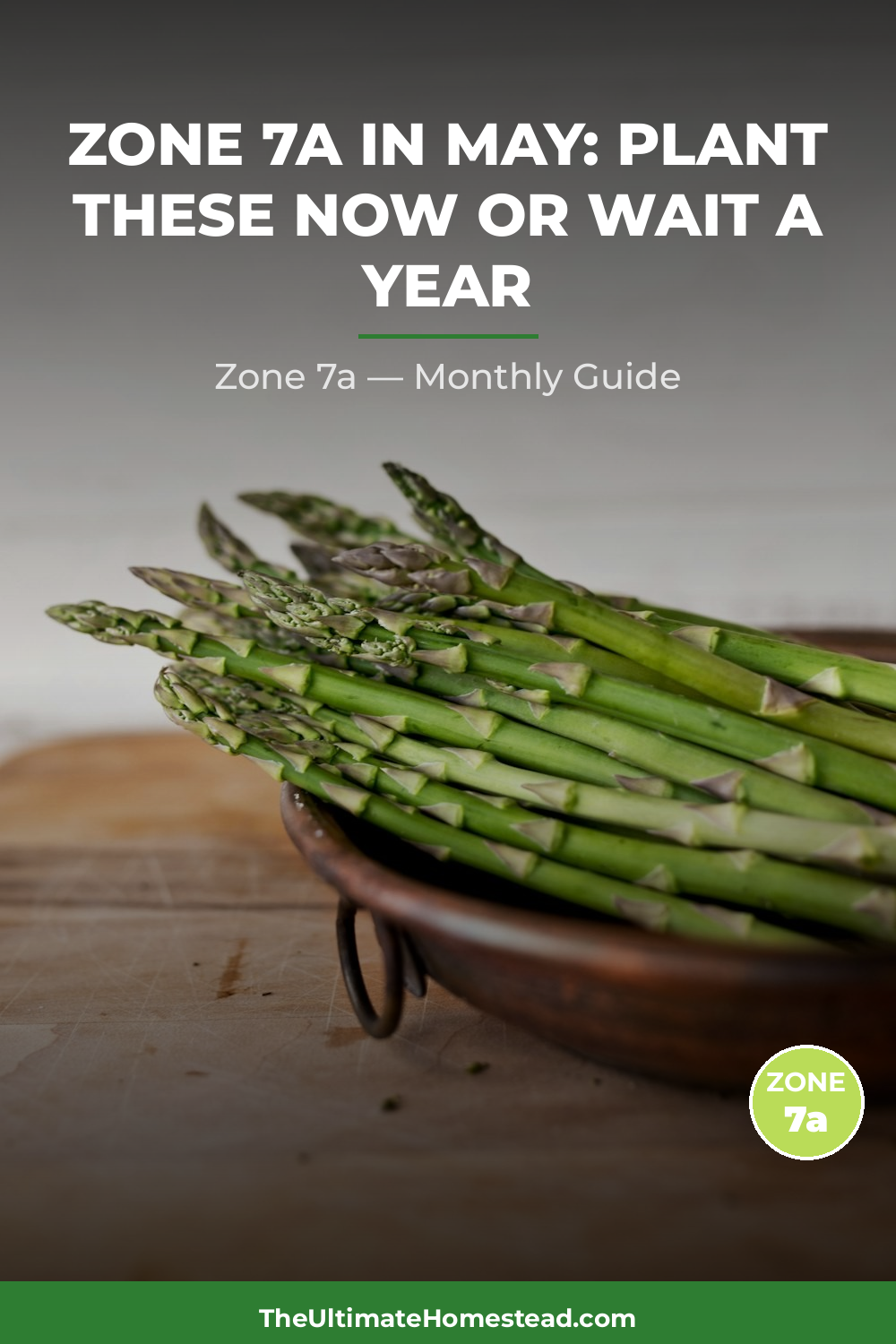 Zone 7a Planting Calendar