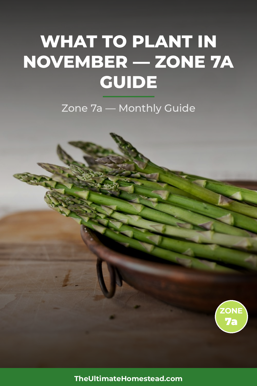 Zone 7a Planting Calendar
