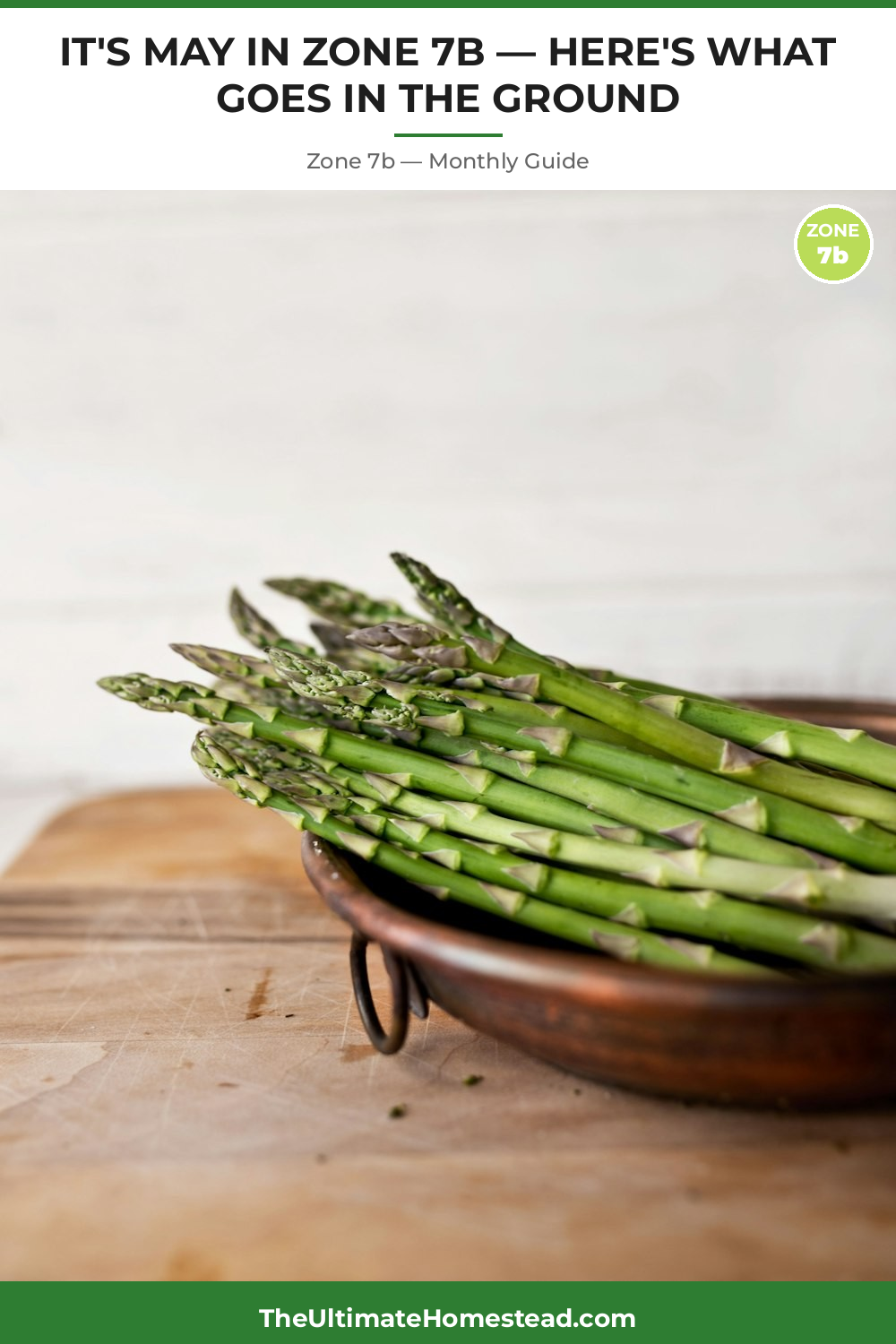 Zone 7b Planting Calendar