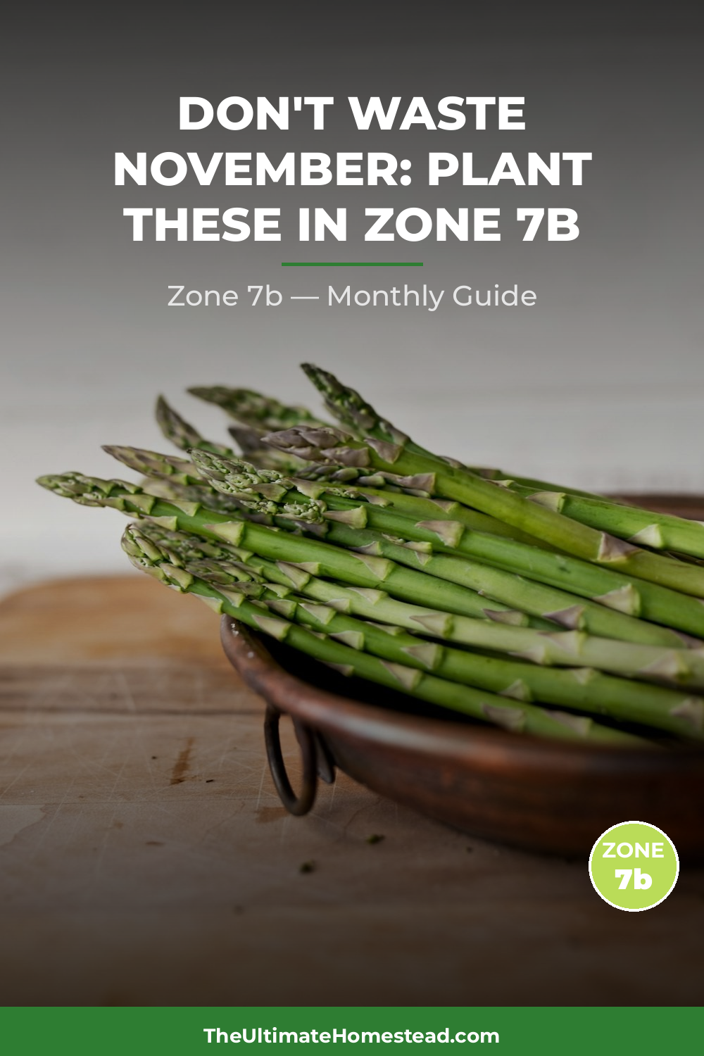Zone 7b Planting Calendar