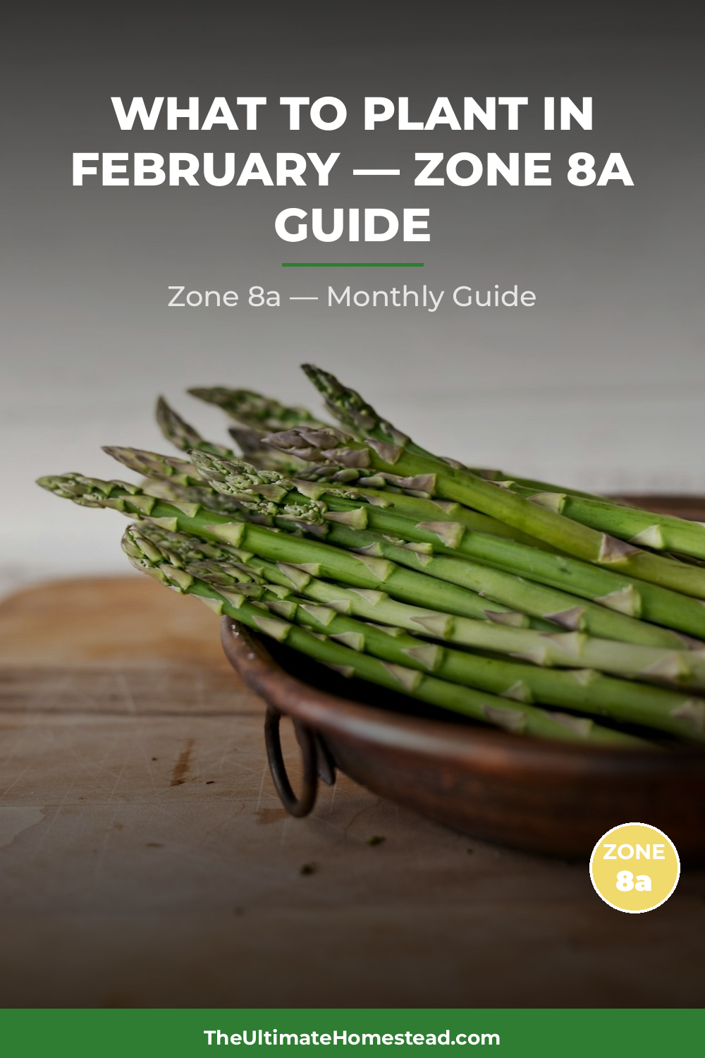 Zone 8a Planting Calendar
