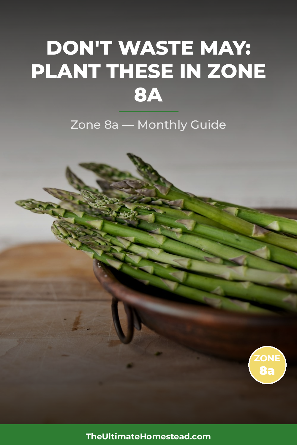 Zone 8a Planting Calendar