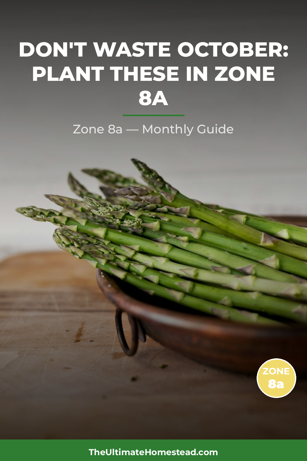 Zone 8a Planting Calendar