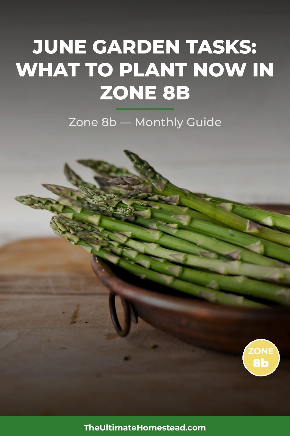 Zone 8b Planting Calendar