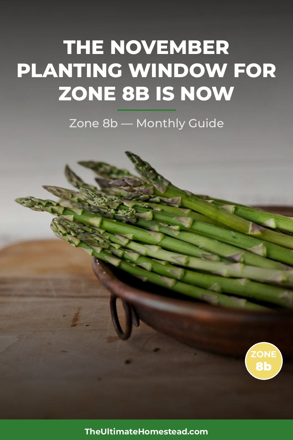 Zone 8b Planting Calendar