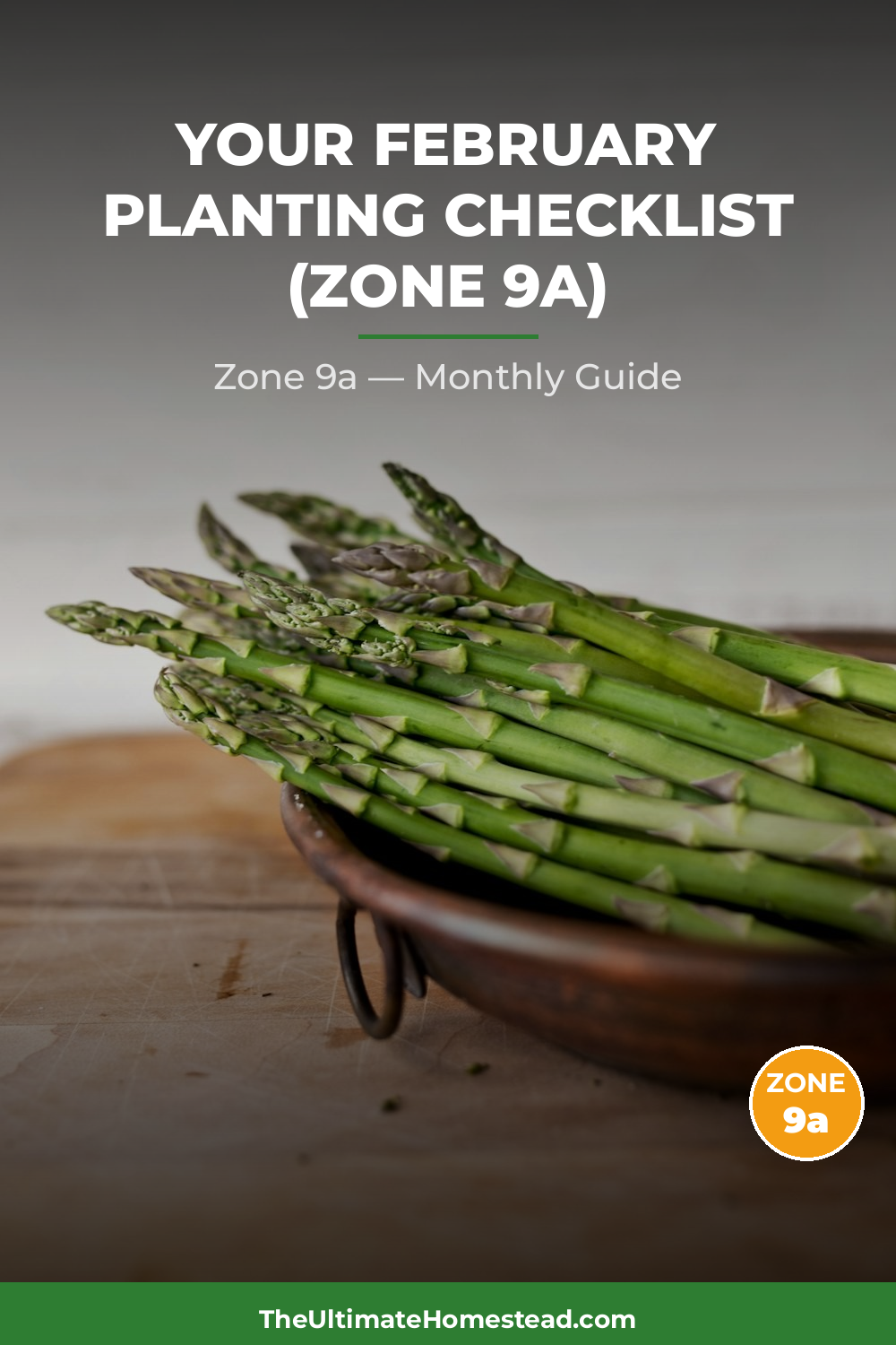 Zone 9a Planting Calendar