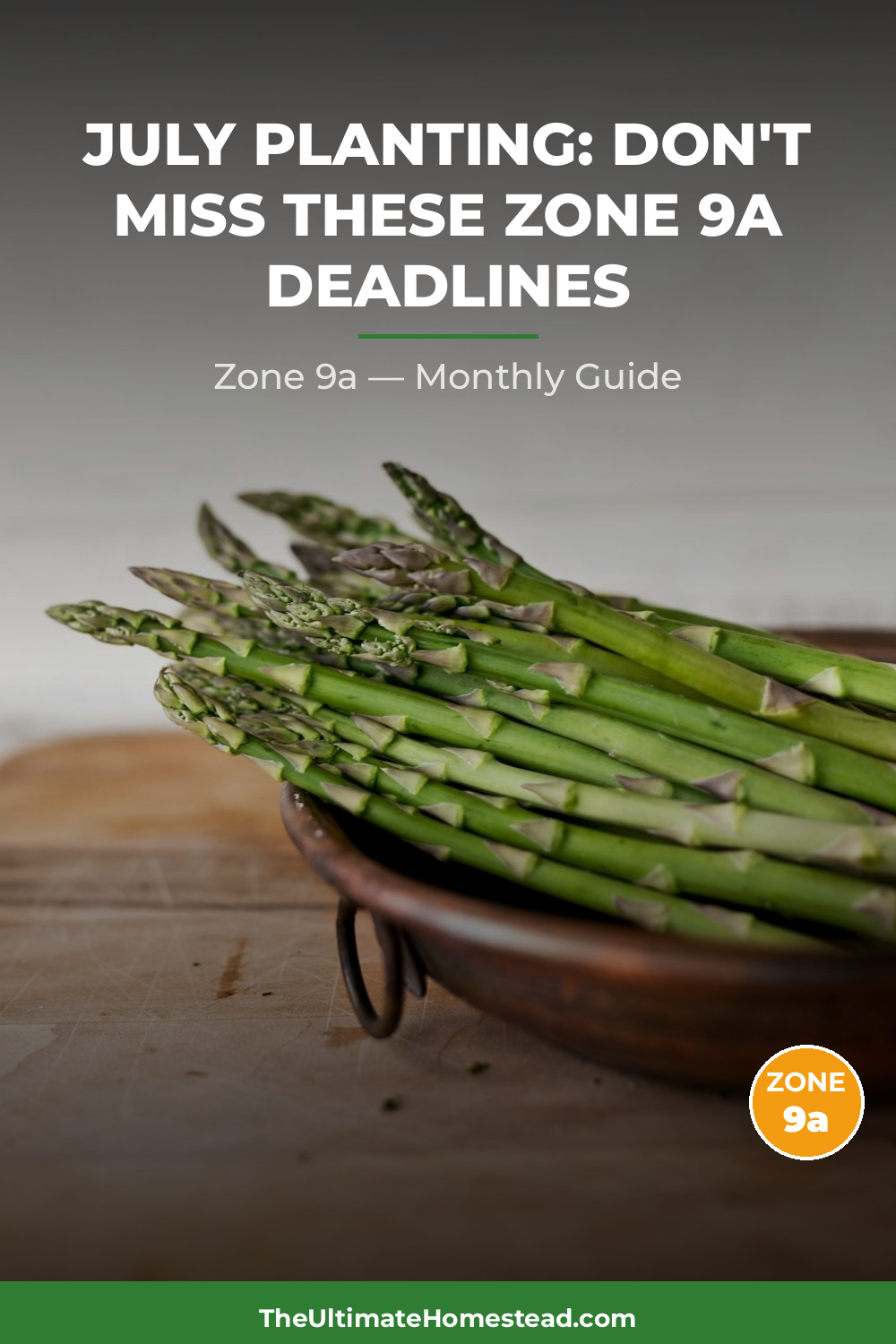 Zone 9a Planting Calendar
