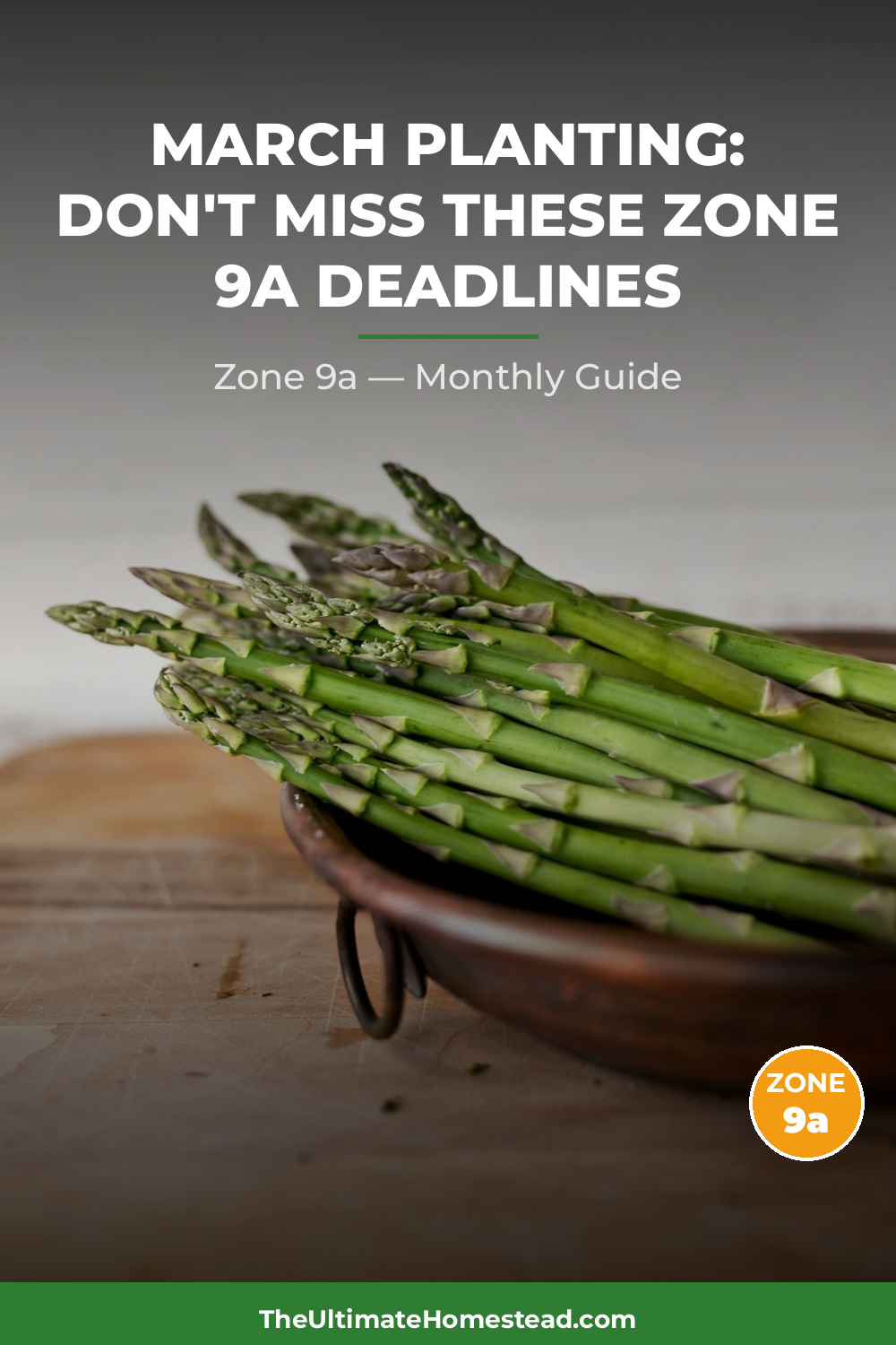 Zone 9a Planting Calendar
