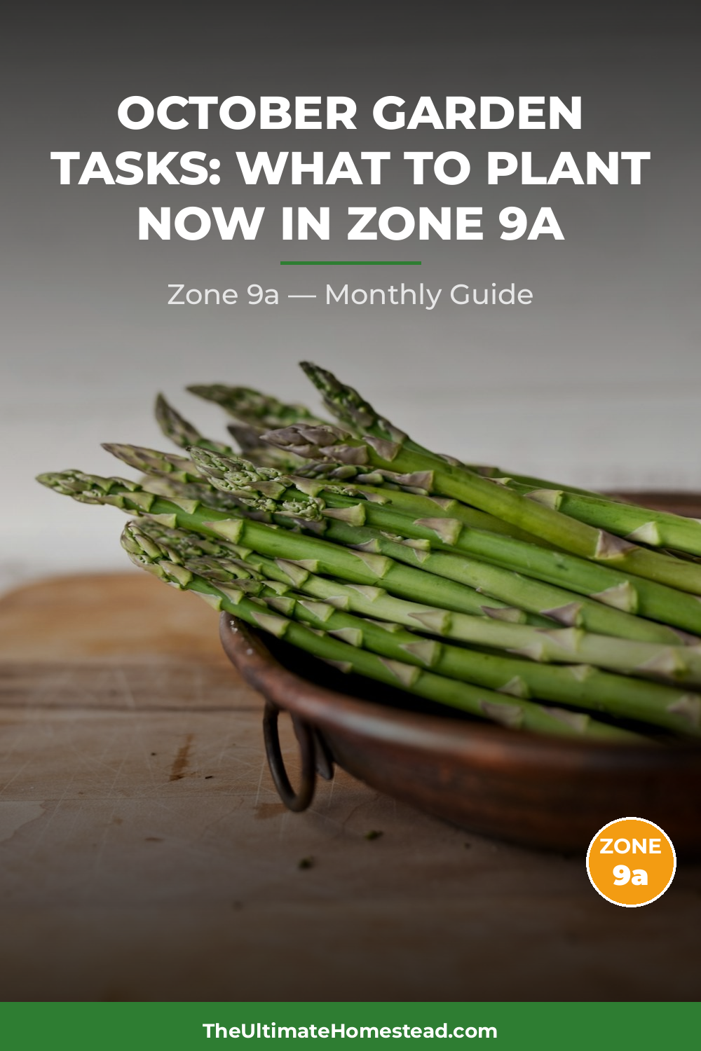 Zone 9a Planting Calendar