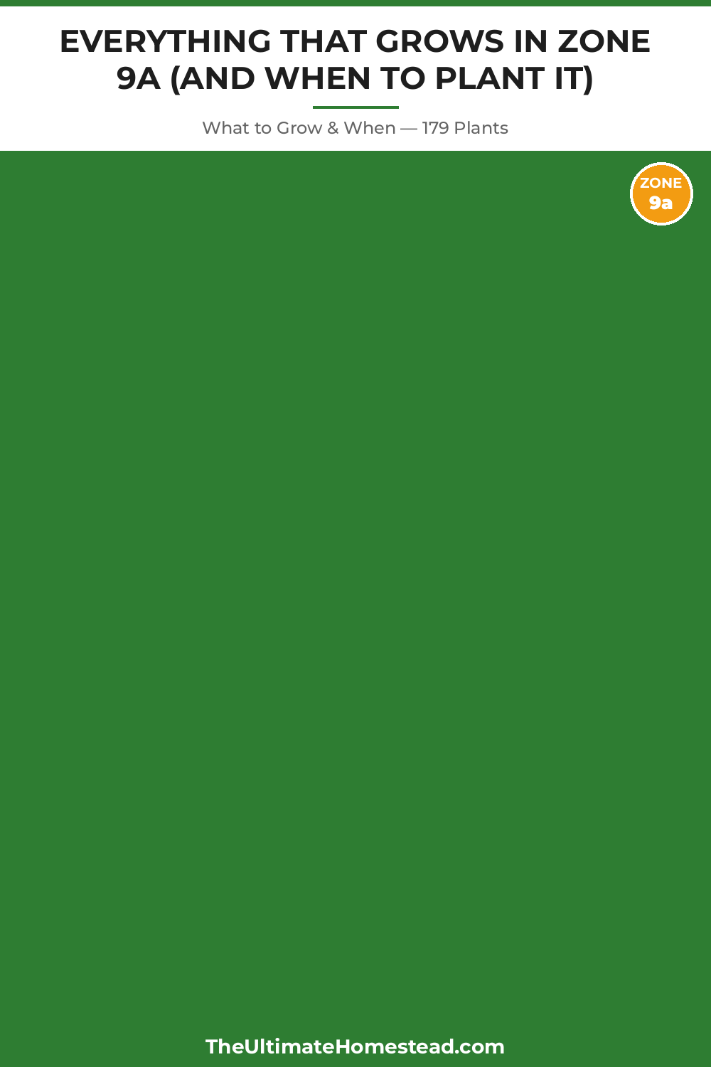 Zone 9a Planting Calendar