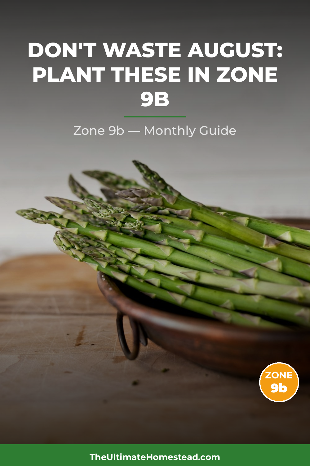 Zone 9b Planting Calendar