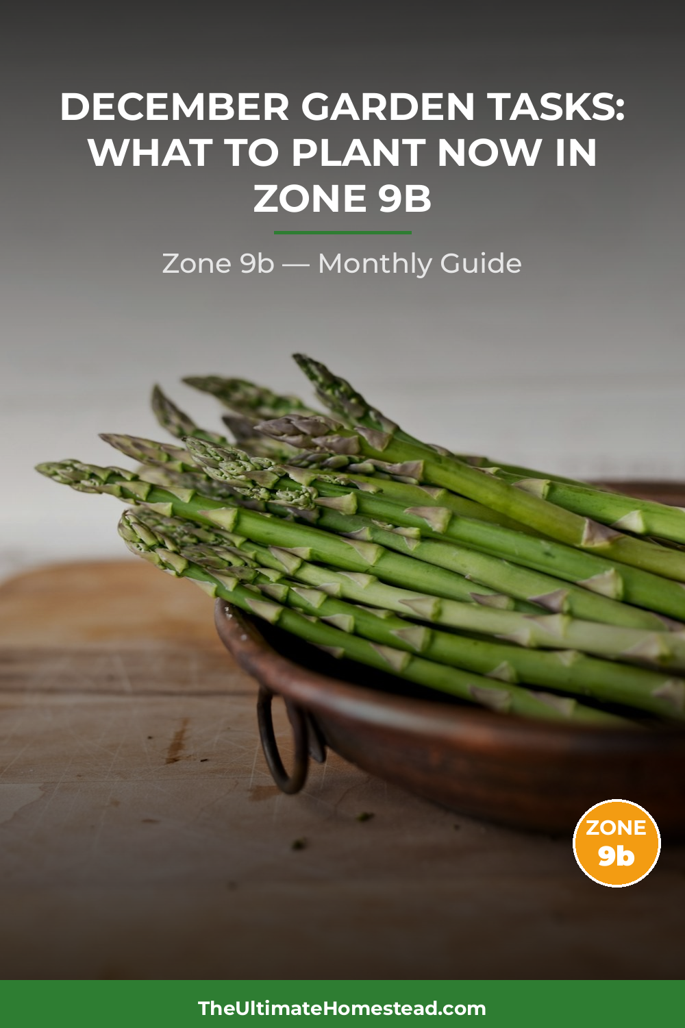Zone 9b Planting Calendar