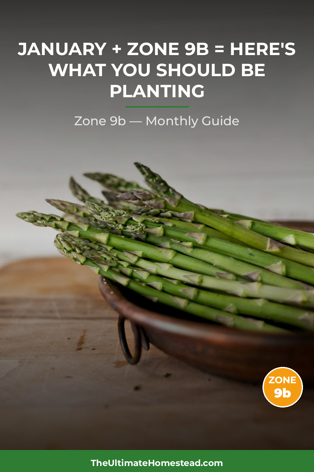 Zone 9b Planting Calendar