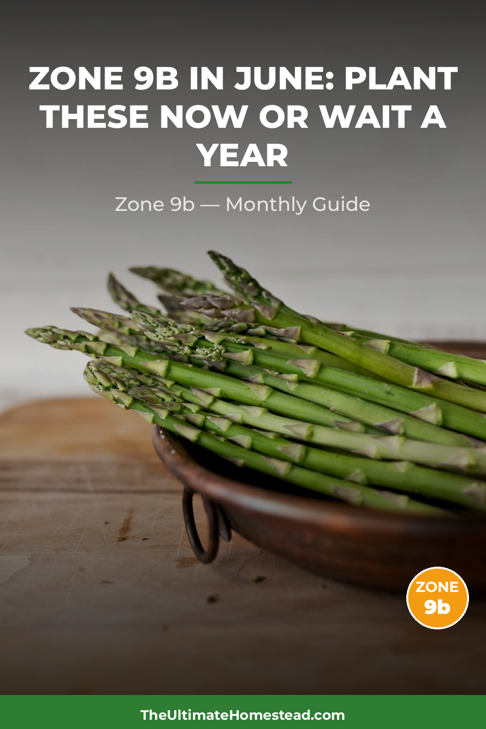 Zone 9b Planting Calendar