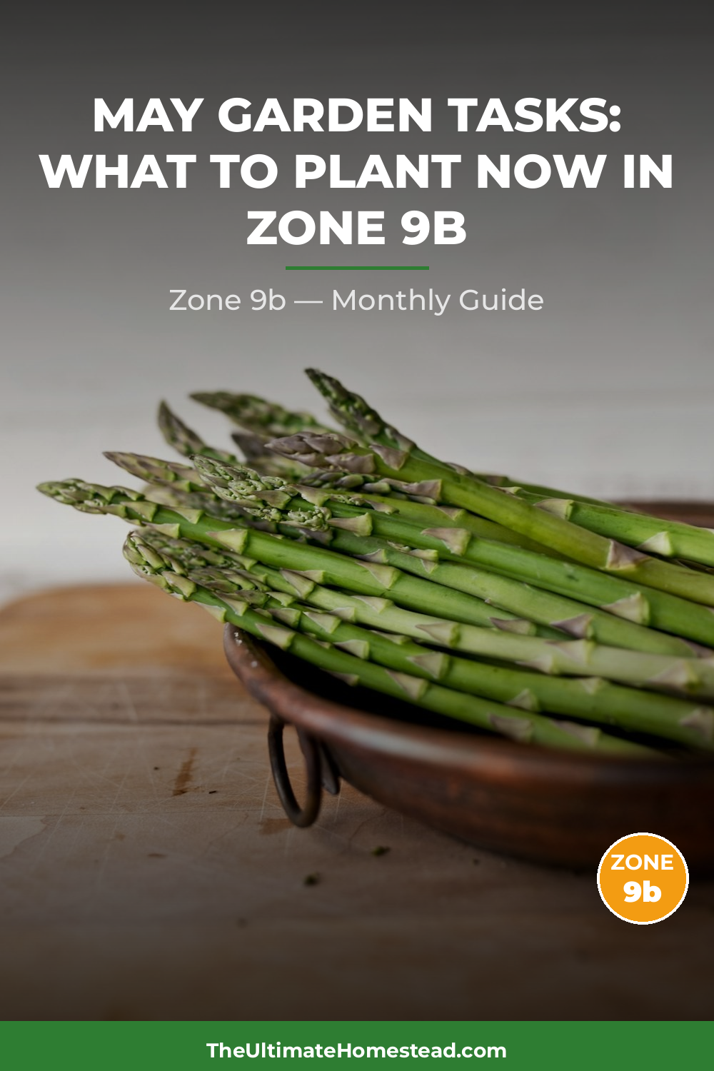 Zone 9b Planting Calendar