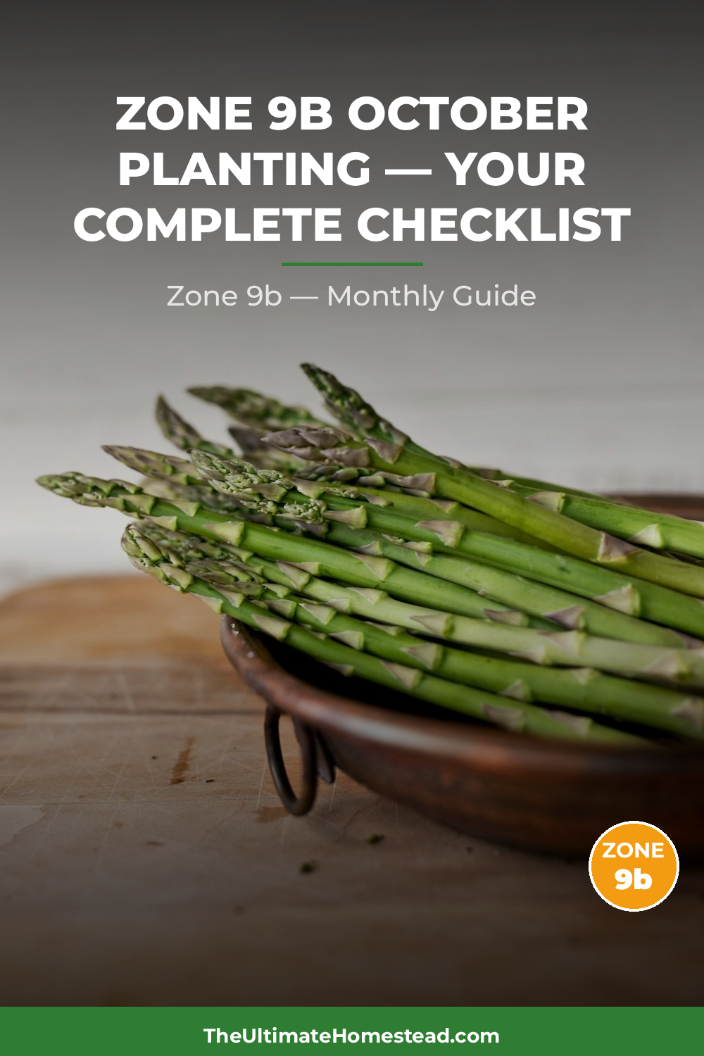Zone 9b Planting Calendar