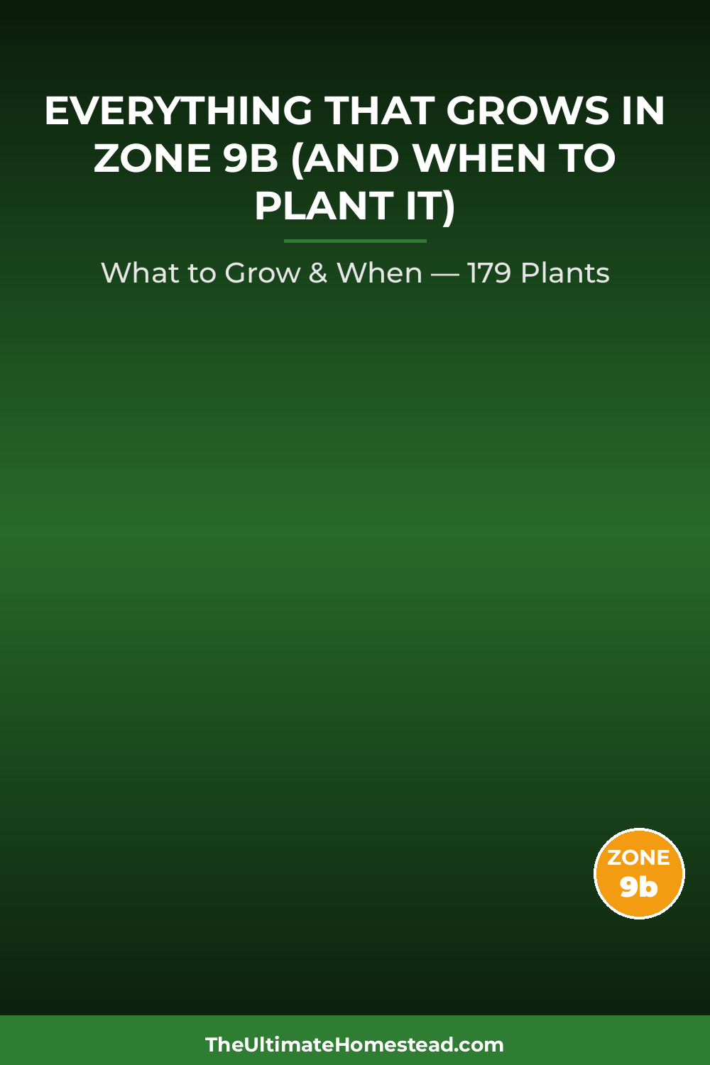 Zone 9b Planting Calendar